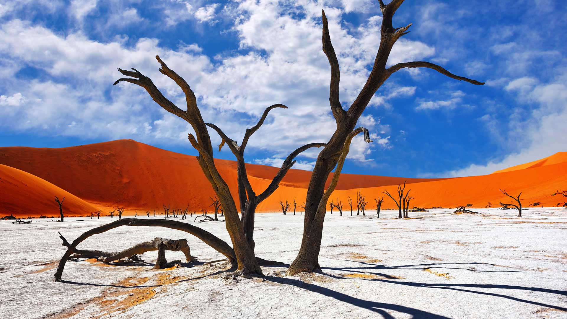 Namibia – Wild Desert and Botswana’s untamed Beauty