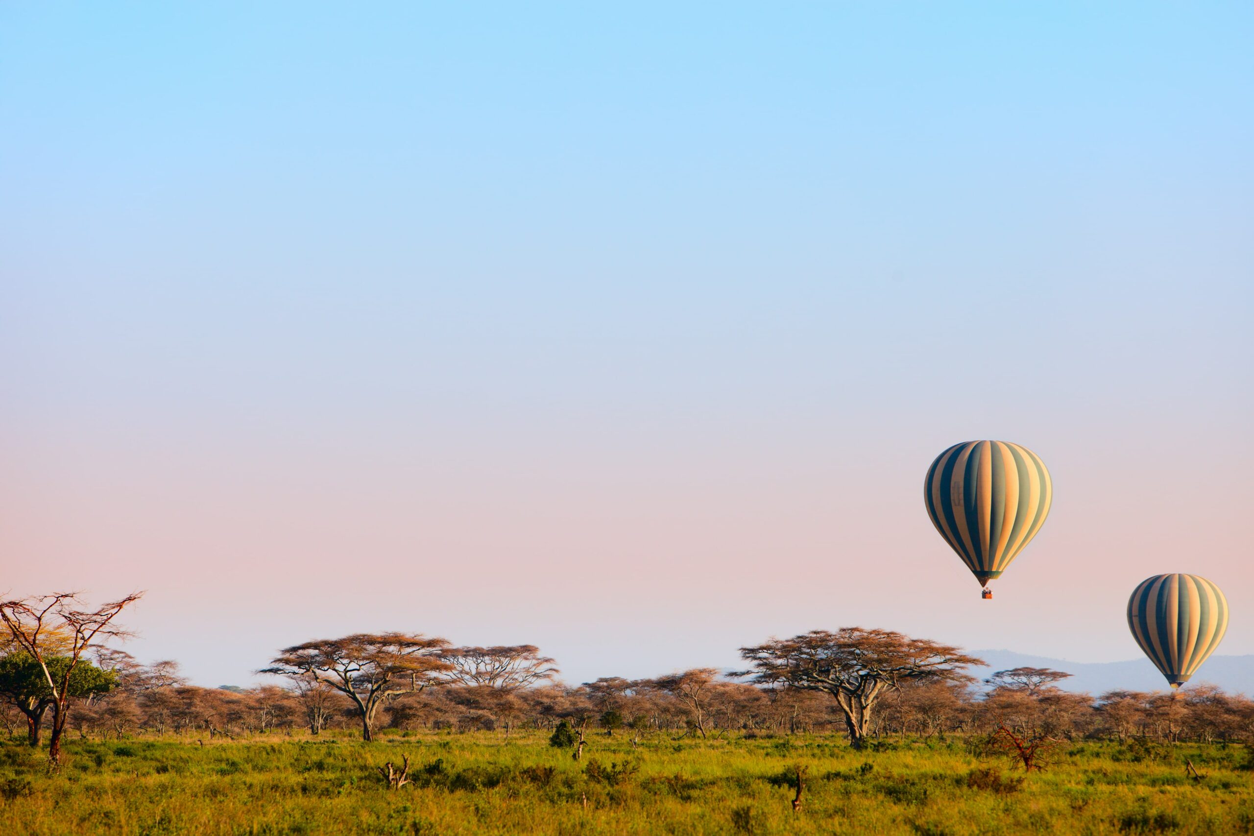 Tanzania – Safari Serendipity